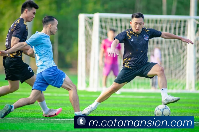 数据防护可视化